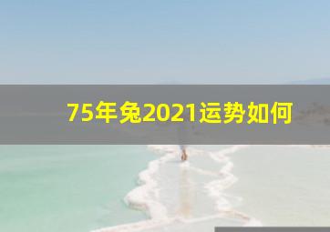 75年兔2021运势如何