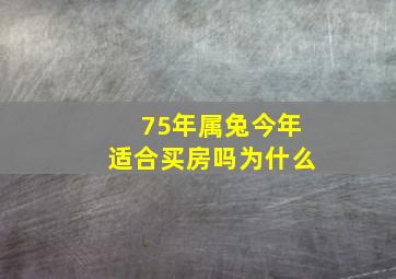 75年属兔今年适合买房吗为什么