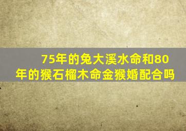 75年的兔大溪水命和80年的猴石榴木命金猴婚配合吗