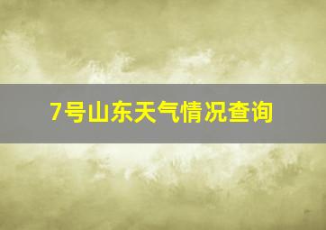 7号山东天气情况查询