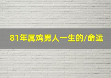 81年属鸡男人一生的/命运