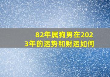 82年属狗男在2023年的运势和财运如何