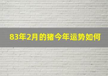 83年2月的猪今年运势如何