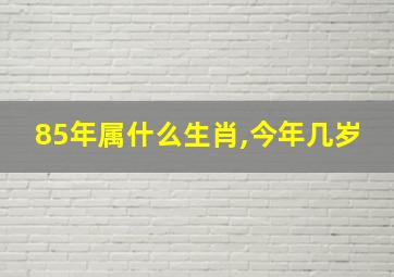 85年属什么生肖,今年几岁