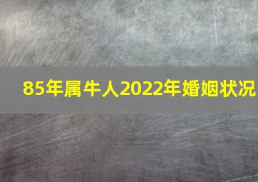 85年属牛人2022年婚姻状况