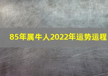 85年属牛人2022年运势运程