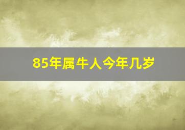 85年属牛人今年几岁