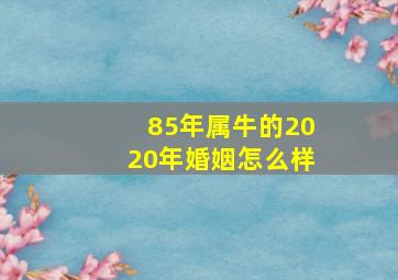 85年属牛的2020年婚姻怎么样