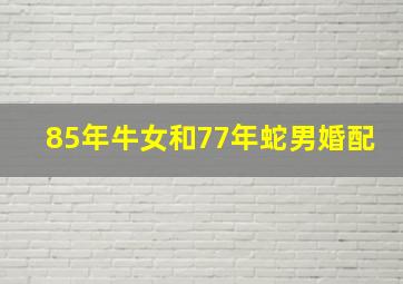 85年牛女和77年蛇男婚配