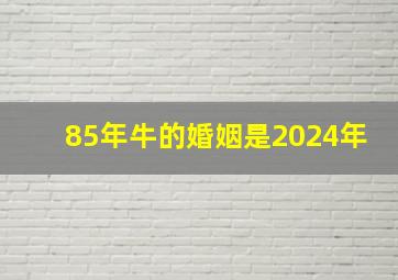 85年牛的婚姻是2024年