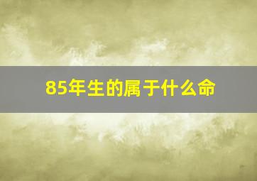 85年生的属于什么命