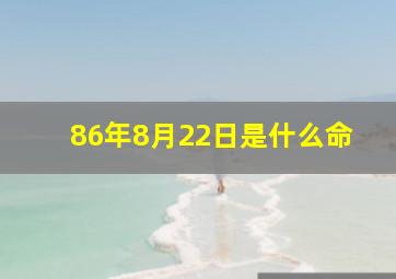 86年8月22日是什么命