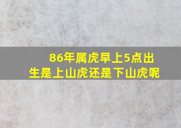 86年属虎早上5点出生是上山虎还是下山虎呢