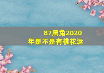 87属兔2020年是不是有桃花运