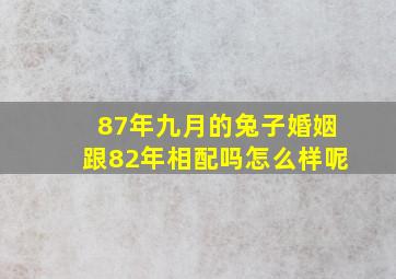 87年九月的兔子婚姻跟82年相配吗怎么样呢