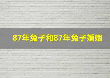 87年兔子和87年兔子婚姻