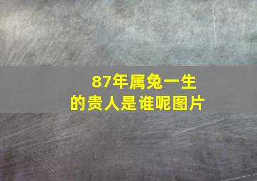 87年属兔一生的贵人是谁呢图片