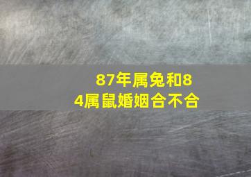 87年属兔和84属鼠婚姻合不合