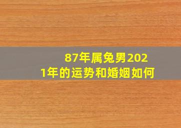 87年属兔男2021年的运势和婚姻如何