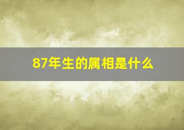 87年生的属相是什么