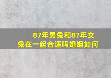 87年男兔和87年女兔在一起合适吗婚姻如何