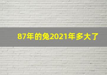 87年的兔2021年多大了