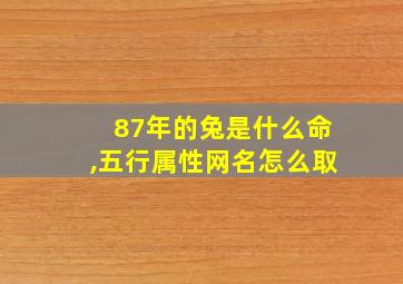 87年的兔是什么命,五行属性网名怎么取