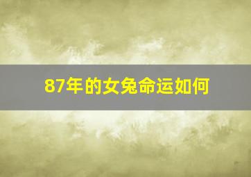 87年的女兔命运如何