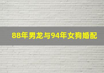 88年男龙与94年女狗婚配