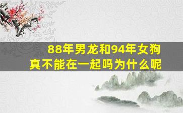 88年男龙和94年女狗真不能在一起吗为什么呢