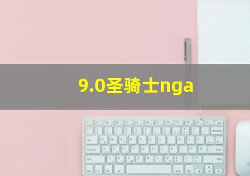 9.0圣骑士nga