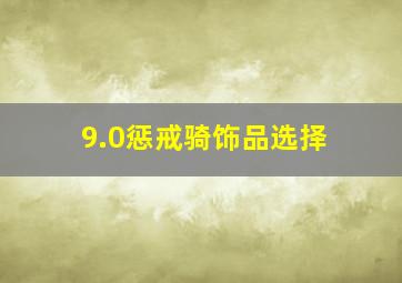 9.0惩戒骑饰品选择