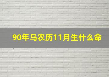 90年马农历11月生什么命