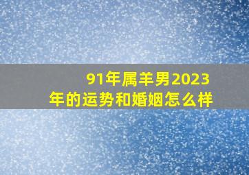 91年属羊男2023年的运势和婚姻怎么样