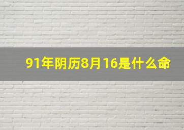 91年阴历8月16是什么命