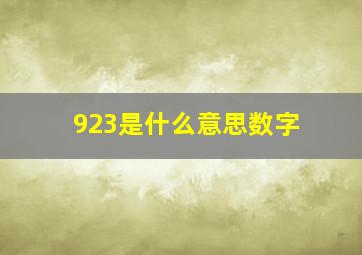 923是什么意思数字