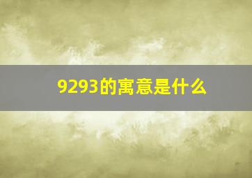 9293的寓意是什么