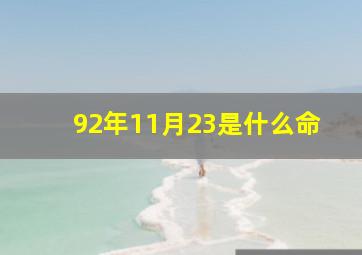 92年11月23是什么命