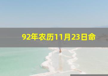 92年农历11月23日命