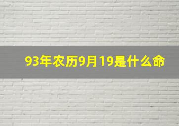 93年农历9月19是什么命