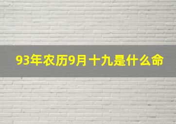 93年农历9月十九是什么命