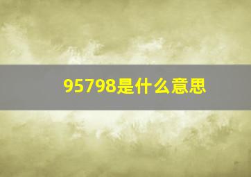 95798是什么意思