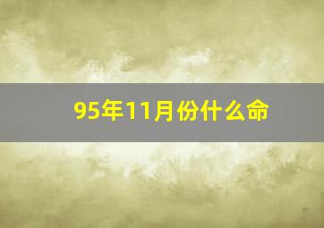 95年11月份什么命