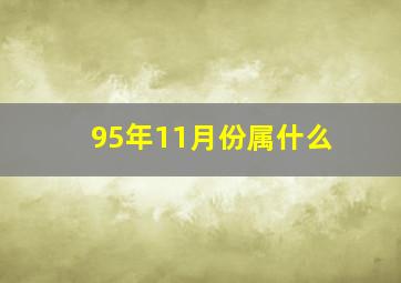 95年11月份属什么