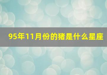 95年11月份的猪是什么星座