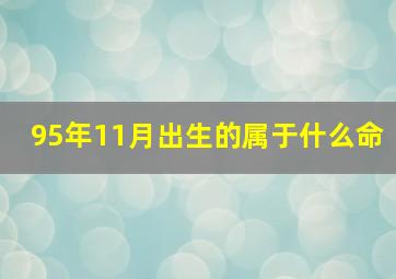 95年11月出生的属于什么命