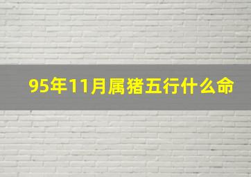 95年11月属猪五行什么命