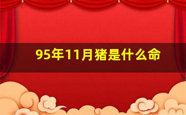 95年11月猪是什么命