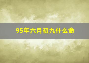 95年六月初九什么命