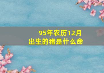 95年农历12月出生的猪是什么命